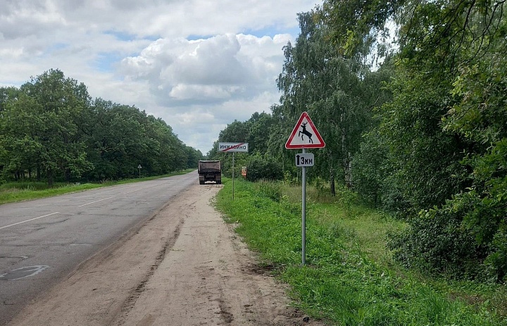 В Тамбовской области установят дорожные знаки "Дикие животные"